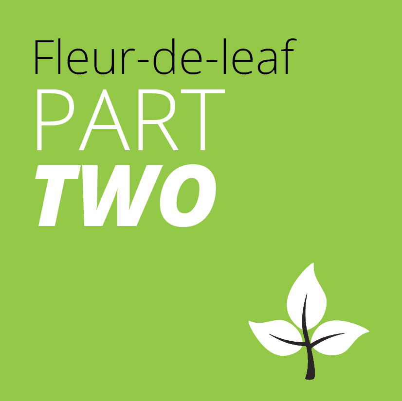 fleur de leaf, leaves